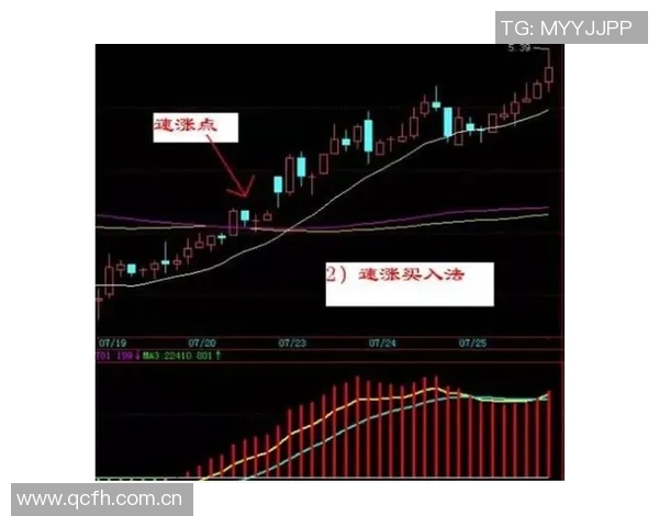 比卢普斯透露季前赛策略霍勒迪首战下半场缺席或调整先发阵容